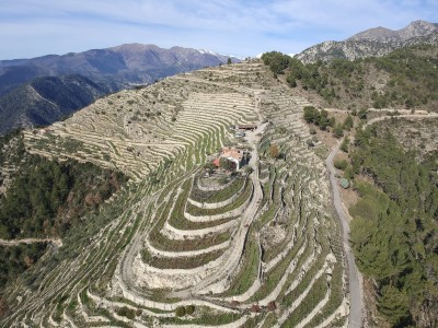 masala trincea atrincea roccese